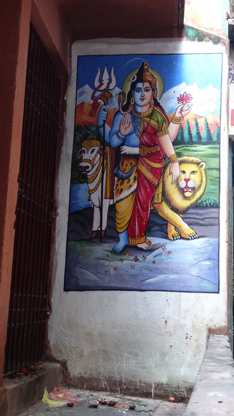 Dipinto delle Divinità Shiva e Parvati nella stessa persona | VARANASI