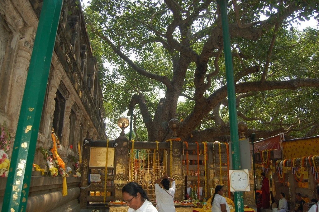 Davide R. Diesi davanti al Tempio sacro di Bodh Gaya , Bodh Gaya è la città dove il Buddha raggiunse l'illuminazione. Città dell'India di 45.349 abitanti, situata nel distretto di Gaya, nello stato federato del Bihar.