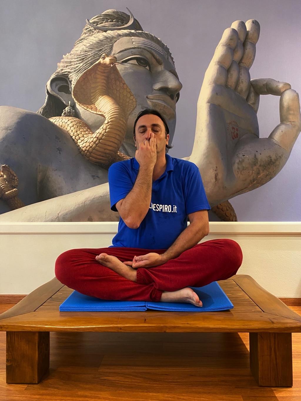 Davide Russo Diesi - Certified Yoga Teacher 500 hrs